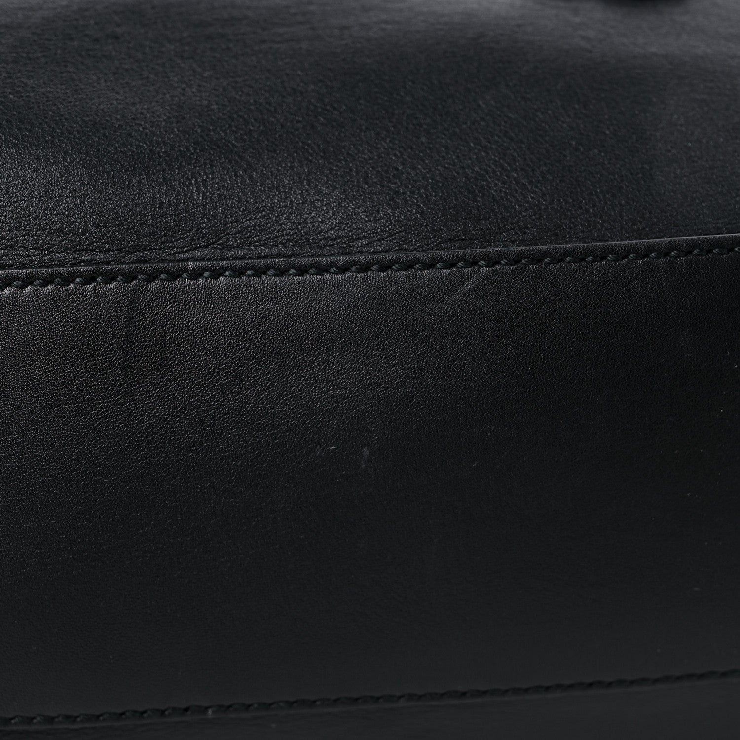 Gucci Calfskin Dog Embroidered Extra Large Dionysus Hobo Black 12 of 15
