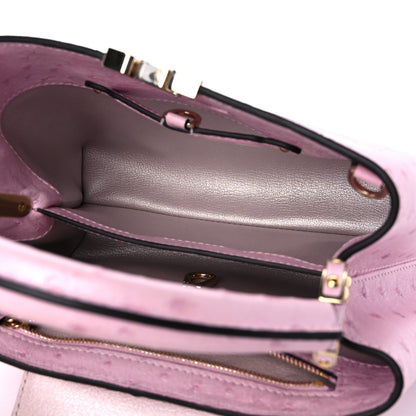 Louis Vuitton Ostrich Capucines BB Pear 5 of 8
