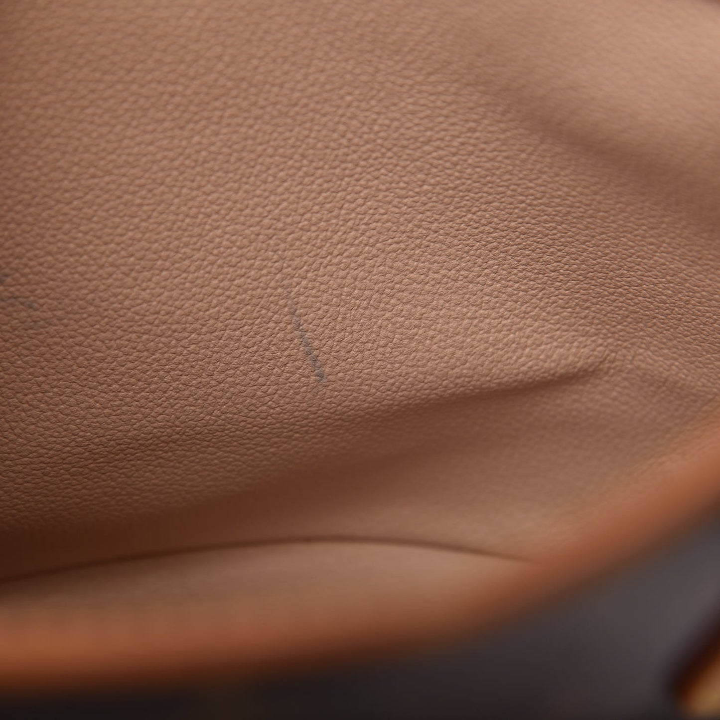 Monogram Petit Bucket 23
