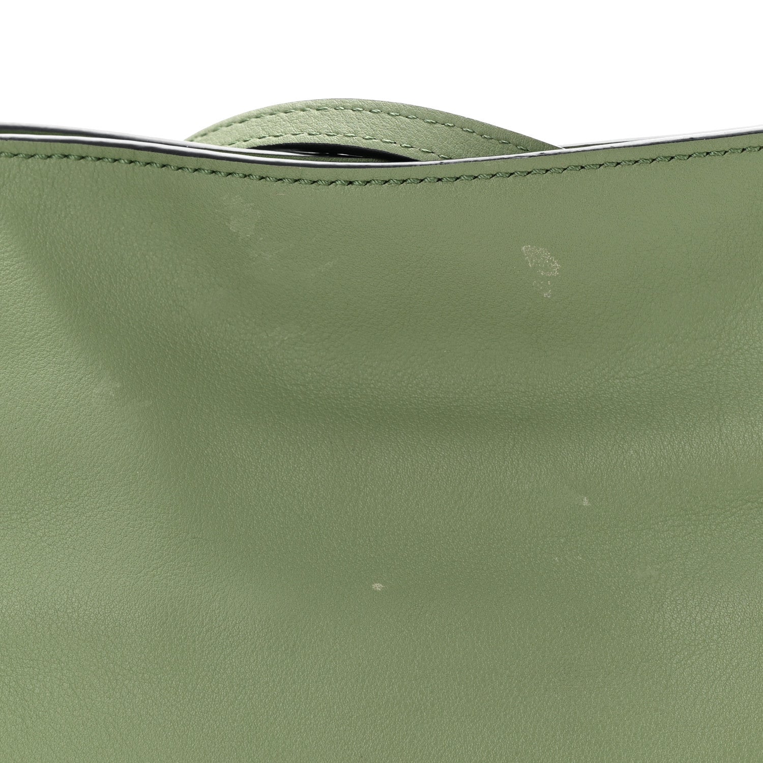 Loewe Calfskin Mini Flamenco Knot Clutch Rosemary 10 of 11