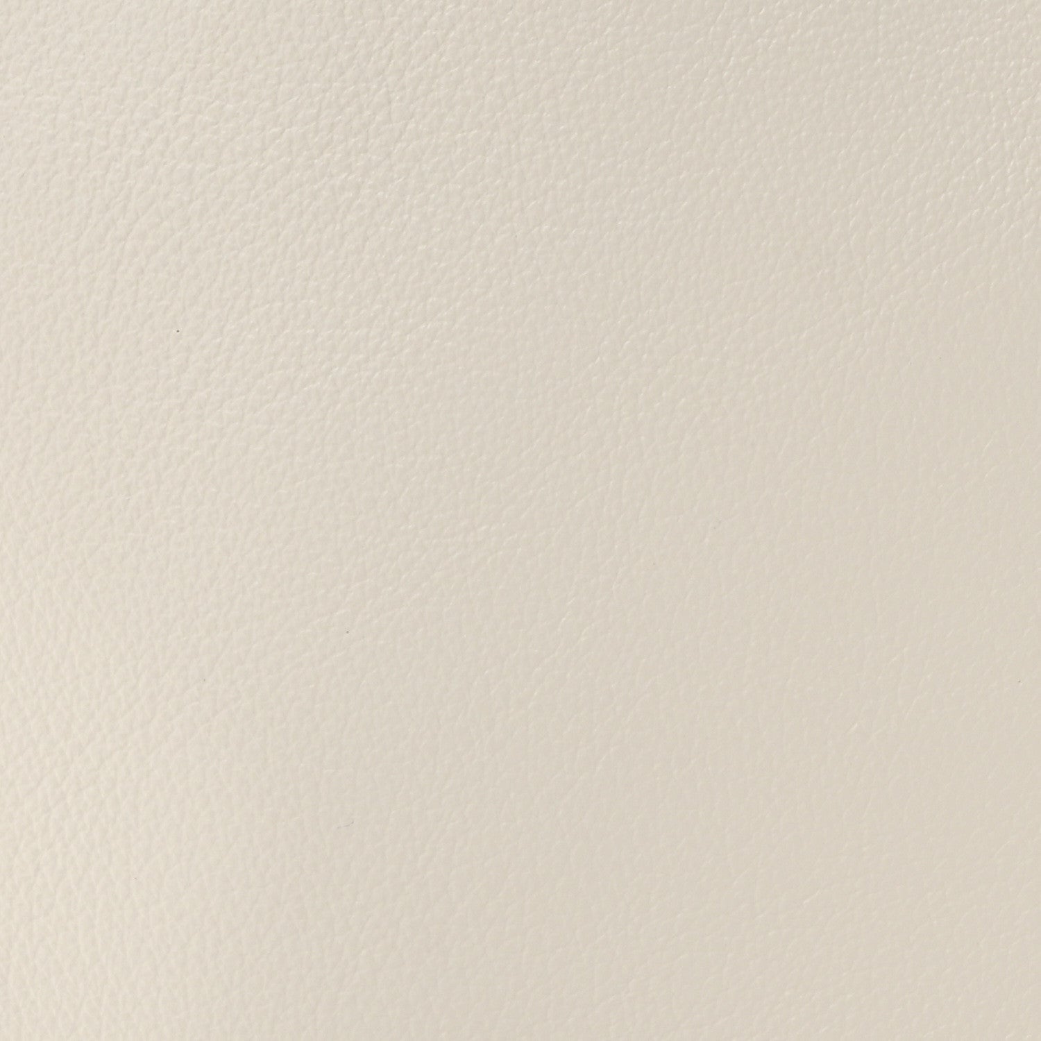 Goyard Goyardine Reversible Mini Anjou White 14 of 16