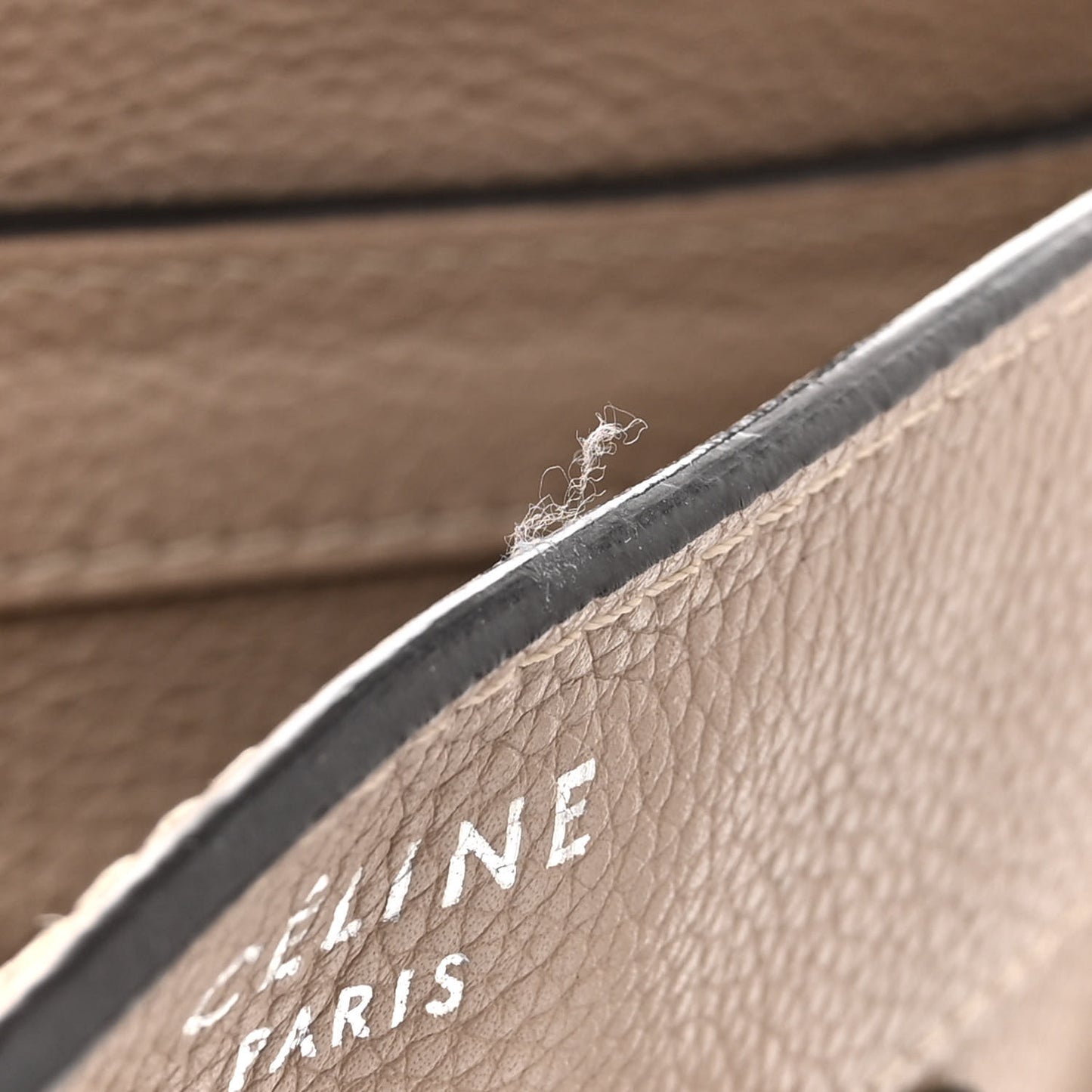 Drummed Calfskin Micro Luggage Dune