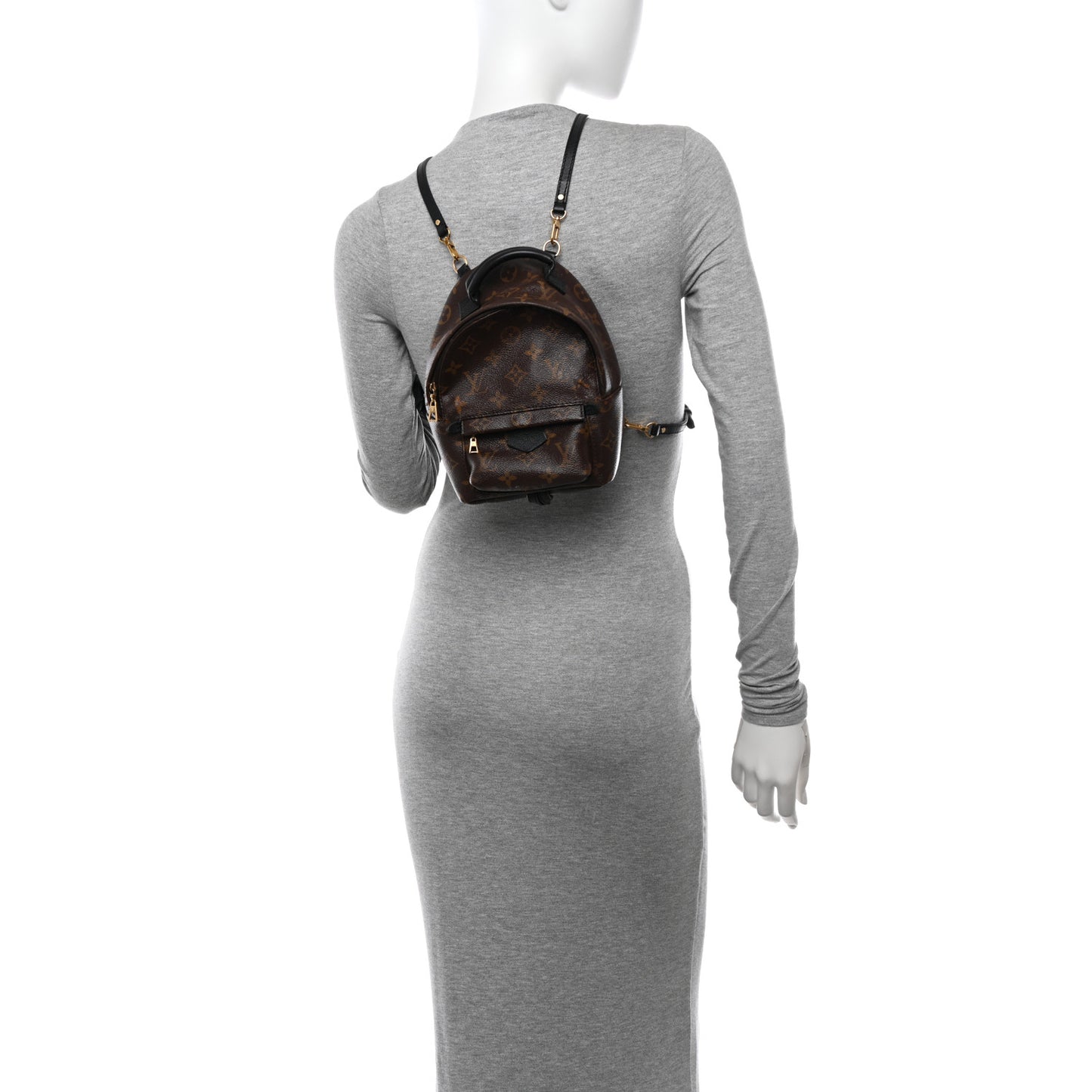 Monogram Palm Springs Backpack Mini