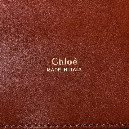 Chloe Shiny Goatskin Calfskin Aby Chain Shoulder Bag Sepia Brown 6 of 9