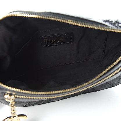 Chanel Aged Calfskin Quilted Waist Bag With Coin Purse Black 5 of 10