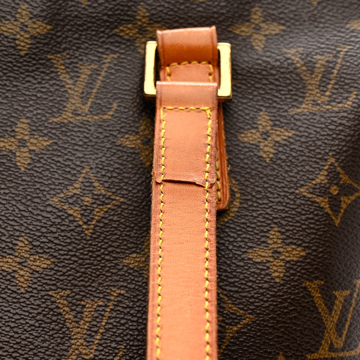 Monogram Cabas Mezzo