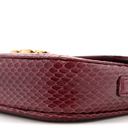 Celine Watersnake Teen Triomphe Ruby 10 of 13
