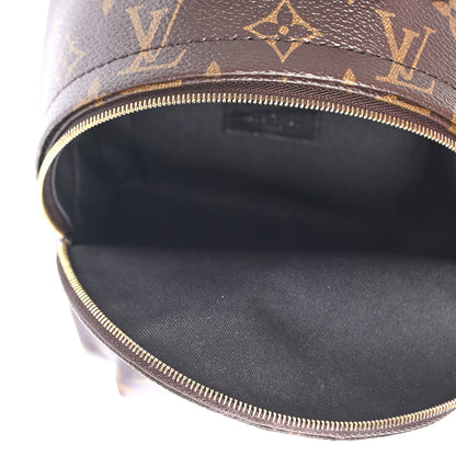 Louis Vuitton Monogram Palm Springs Backpack Mini 5 of 8