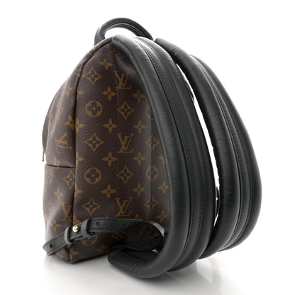 Louis Vuitton Reverse Monogram Palm Springs Backpack PM 3 of 14