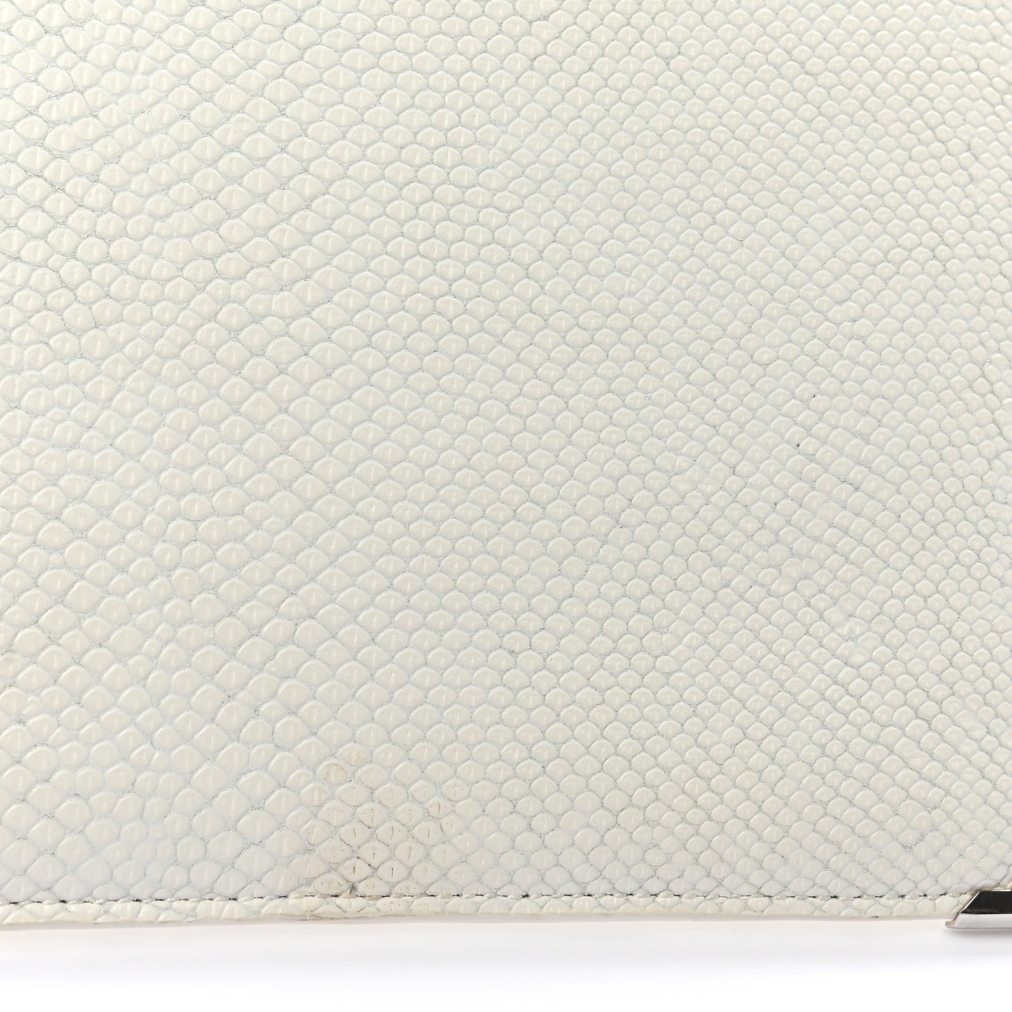 Calfskin Snakeskin Embossed Prisma Flat Pouch White Silver Hardware