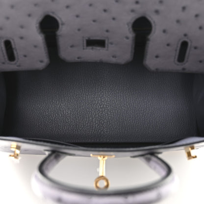 Hermes Ostrich Birkin 25 Gris Agate 5 of 11