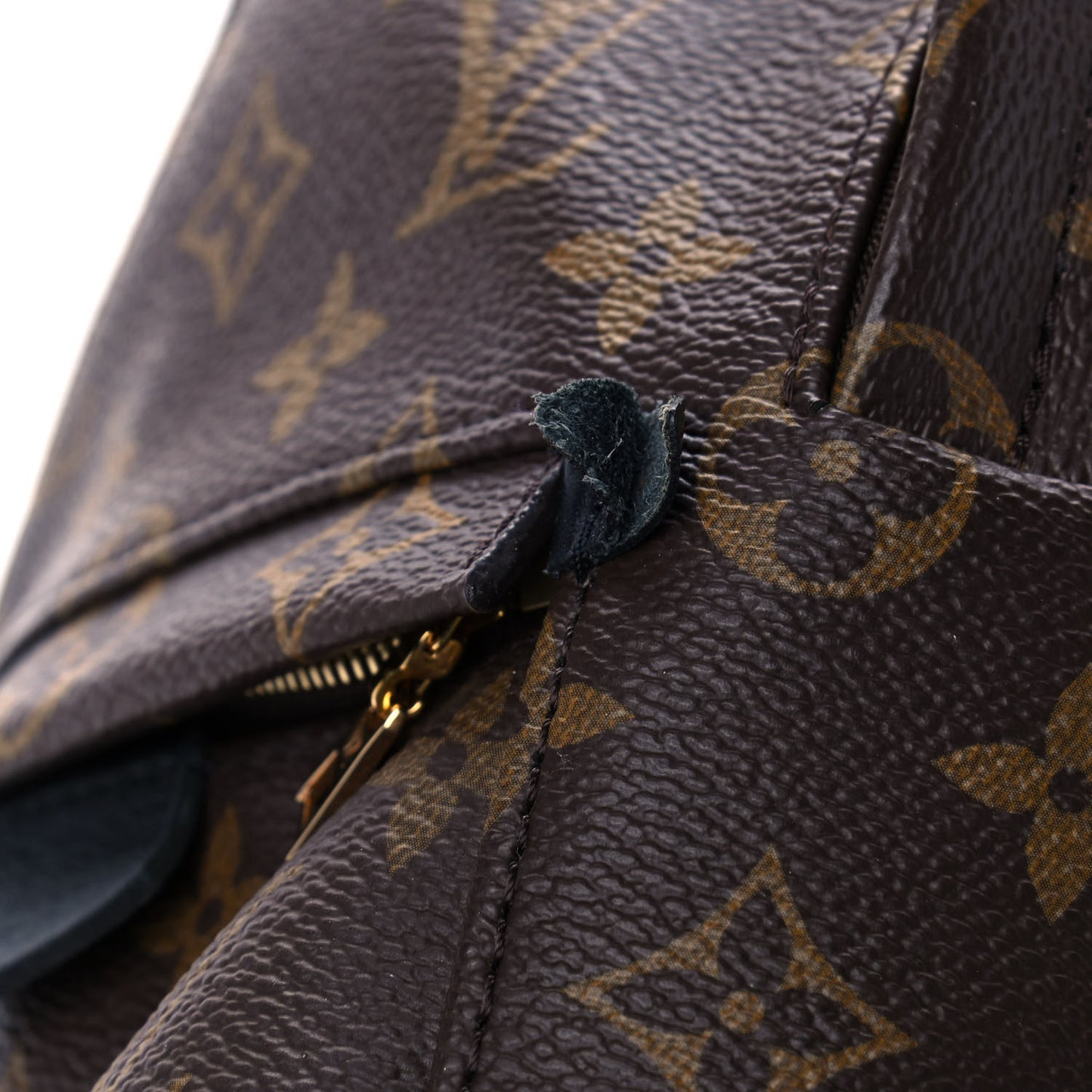 Monogram Palm Springs Backpack Mini