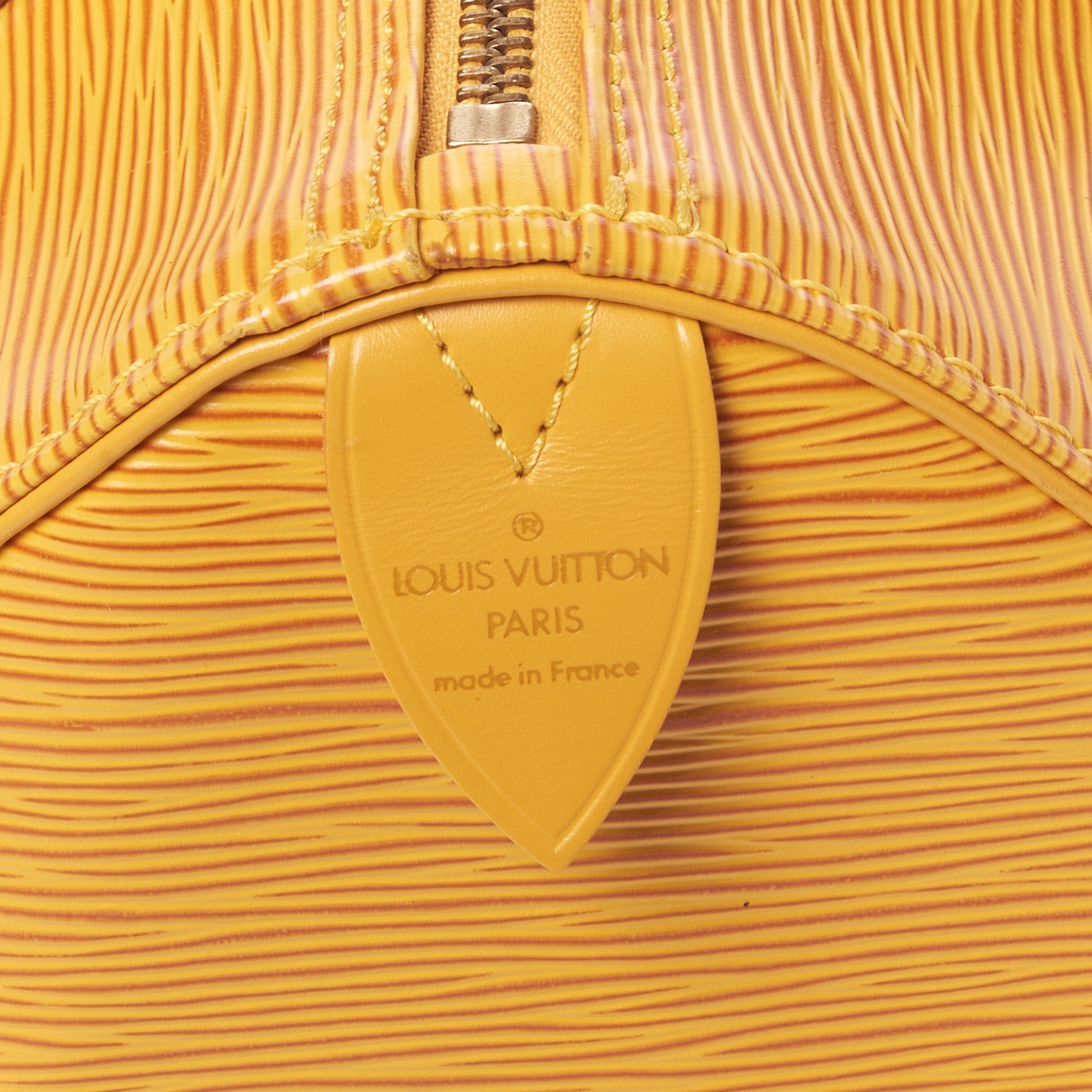 Louis Vuitton Epi Speedy 25 Tassil 8 of 9