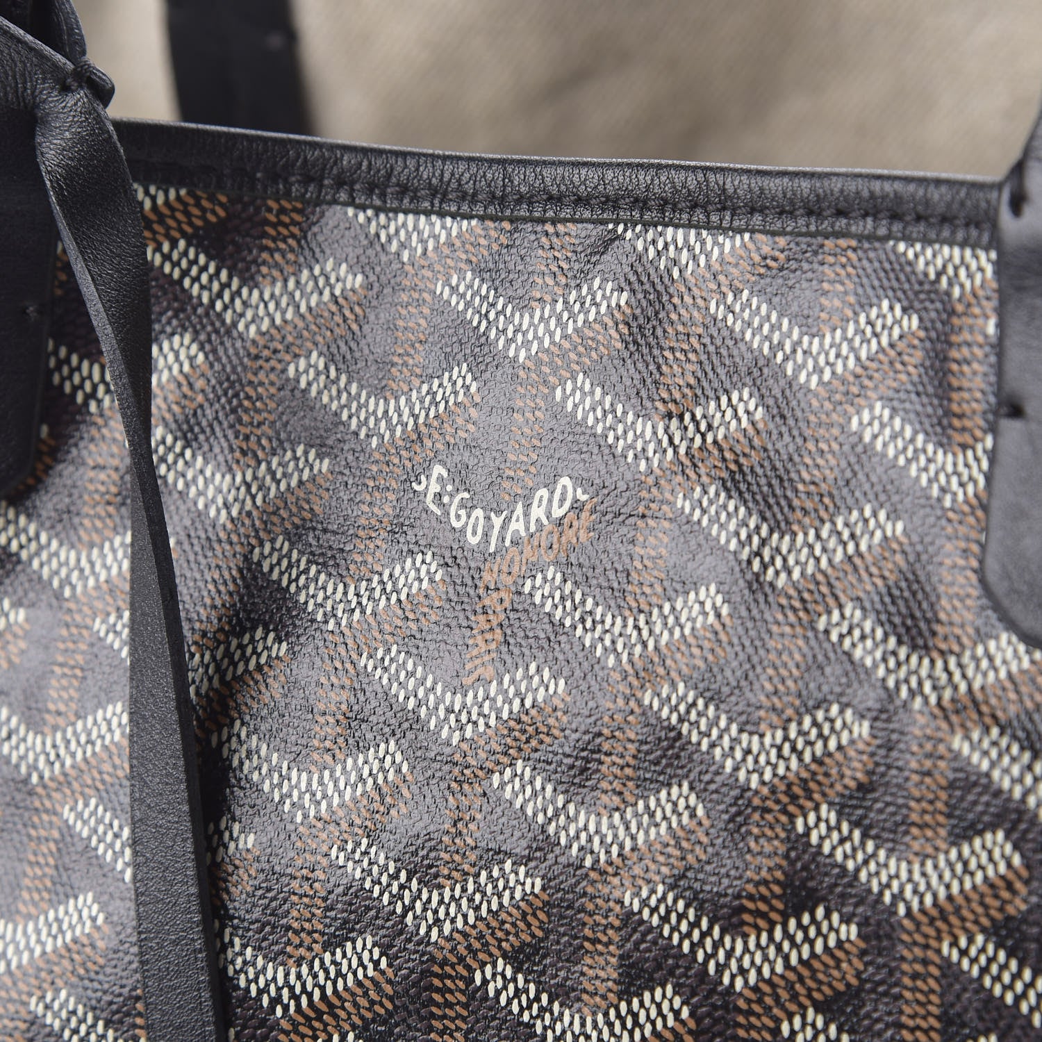 Goyard Goyardine Saint Louis PM Black 7 of 7
