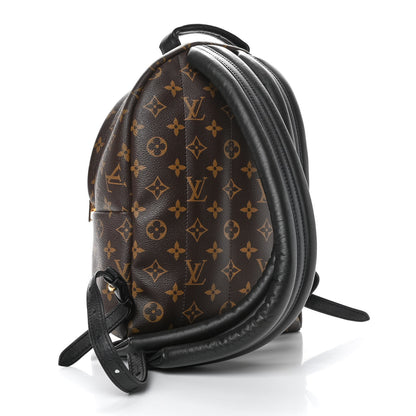 Louis Vuitton Monogram Palm Springs Backpack PM 3 of 6