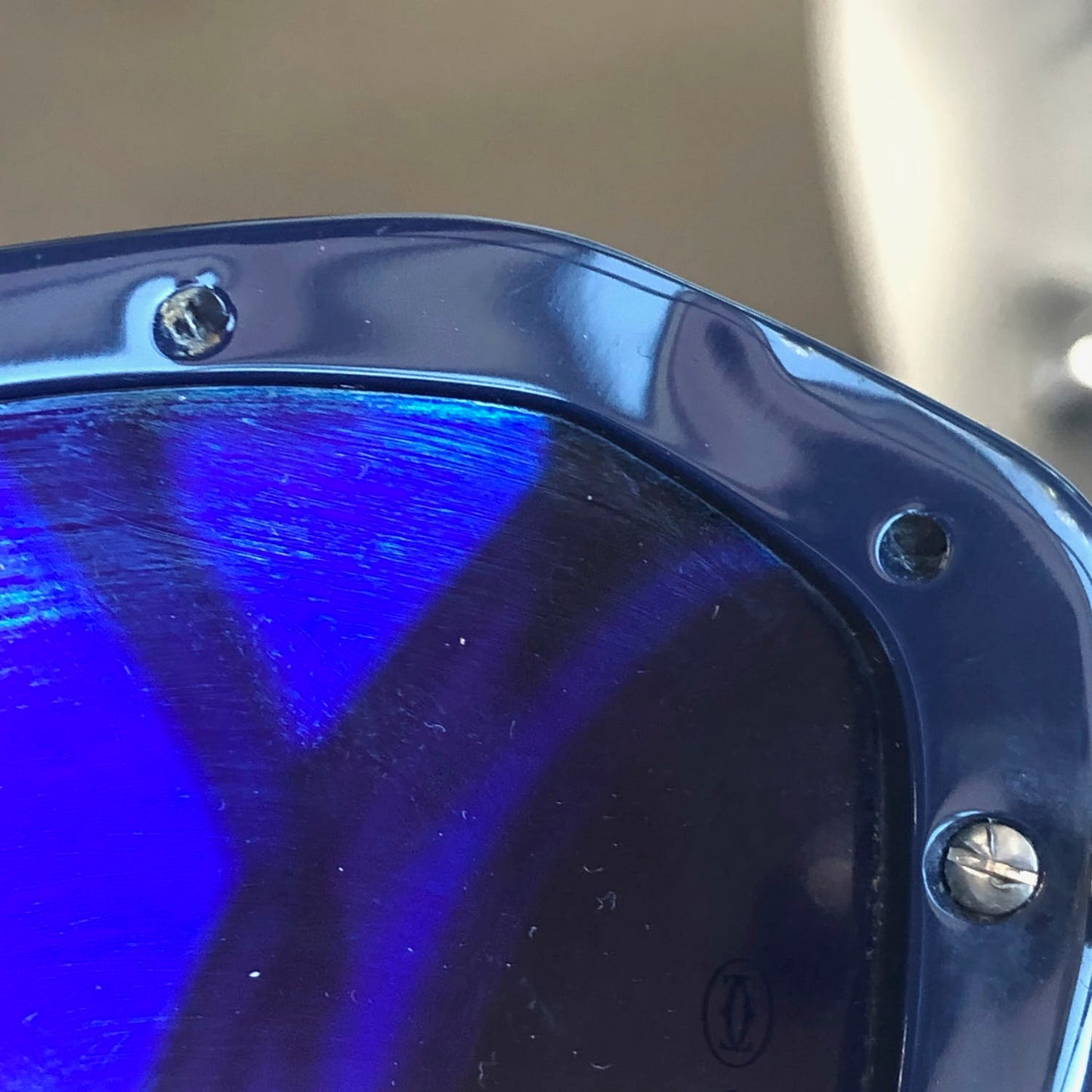 Panthere Wild De Sunglasses Blue