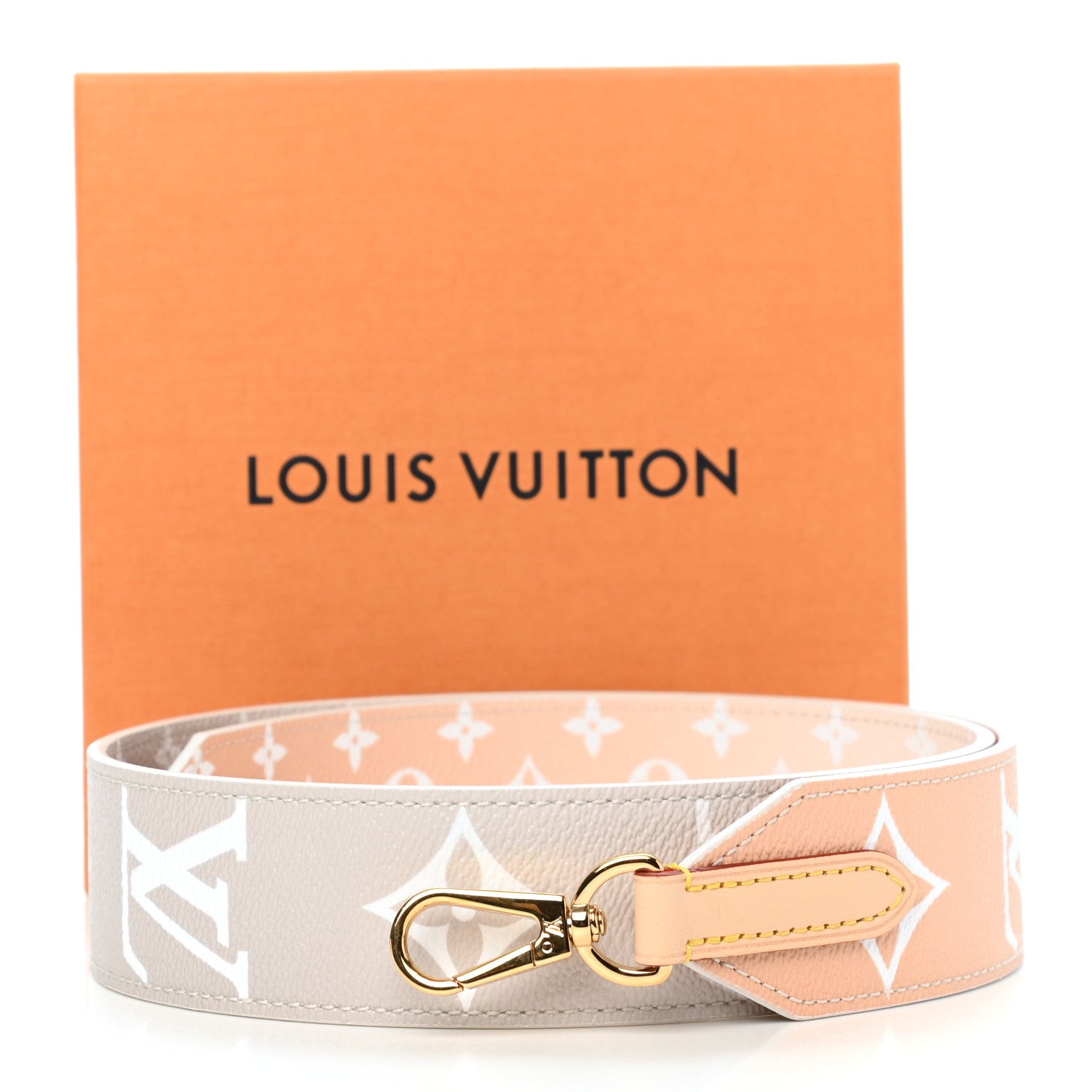 Louis Vuitton Monogram Giant By The Pool Bandouliere Shoulder Strap Brume 5 of 5