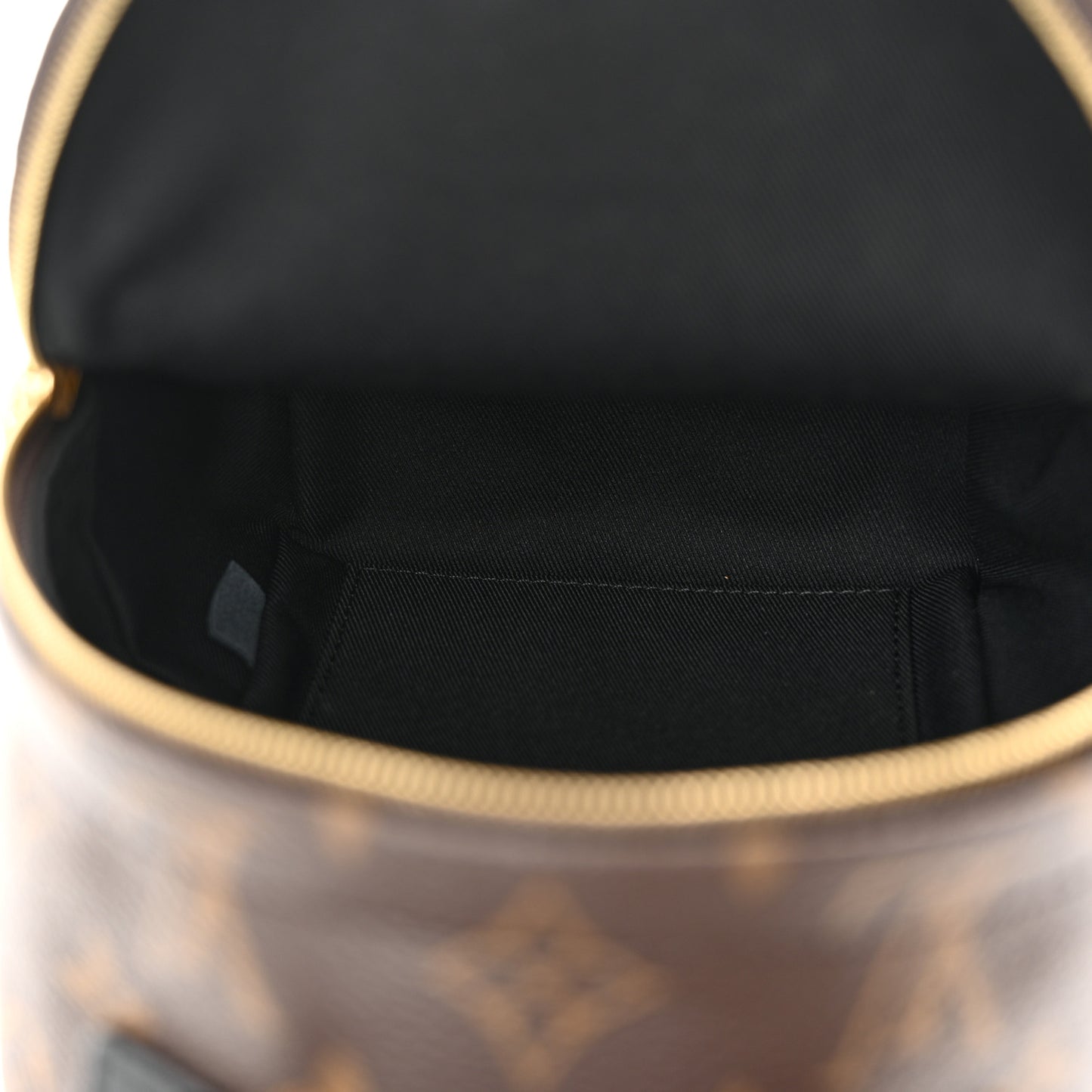 Monogram Palm Springs Backpack Mini