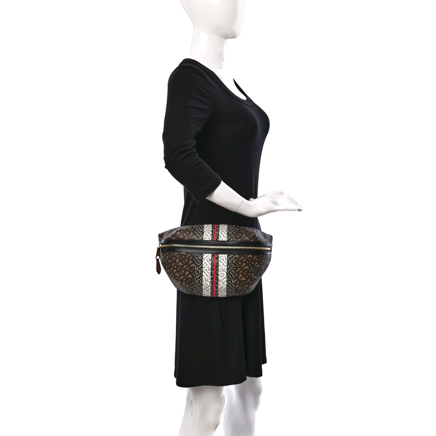 E-Canvas Monogram Stripe Medium Sonny Bum Bag Bridle Brown