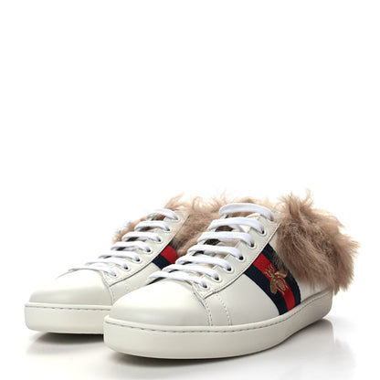 Gucci Calfskin Wool Web Bee Embroidered Womens Ace Sneakers 37.5 White 3 of 6