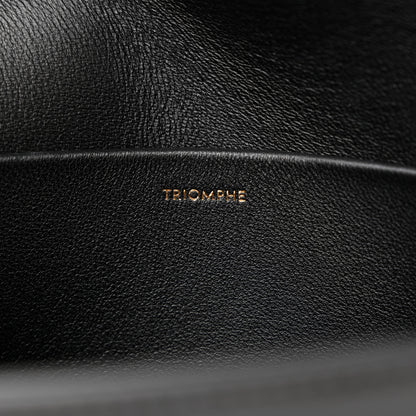 Celine Shiny Calfskin Triomphe Shoulder Bag Black 9 of 16