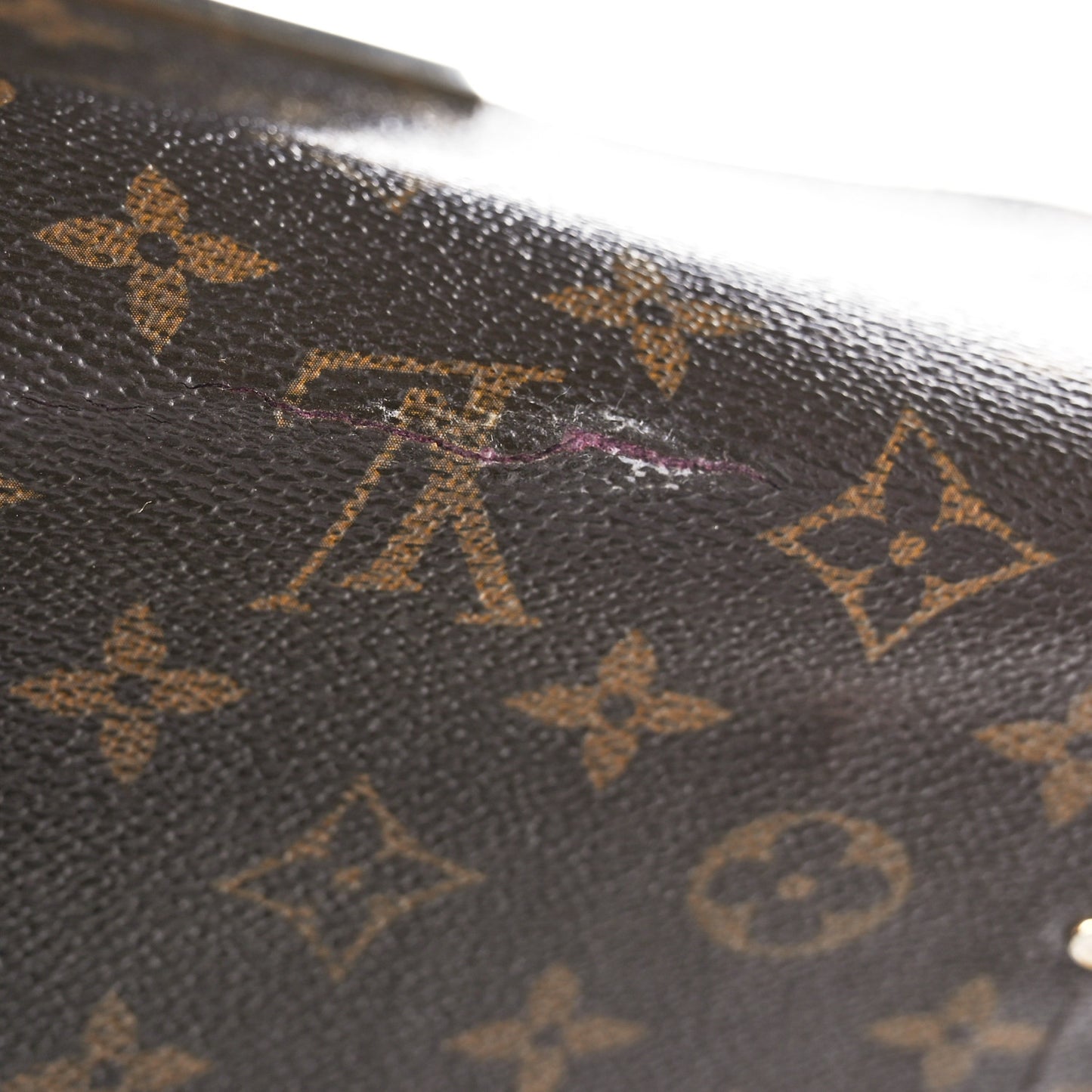 Monogram Favorite PM