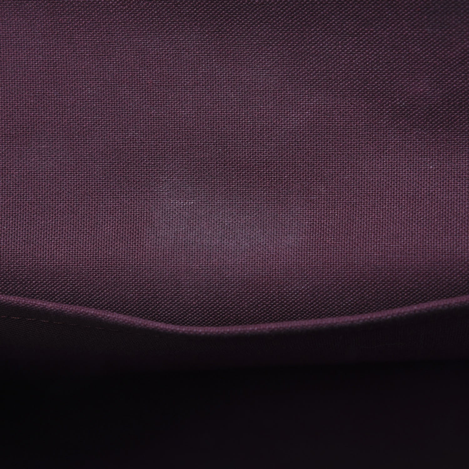Louis Vuitton Monogram Iena MM 6 of 14