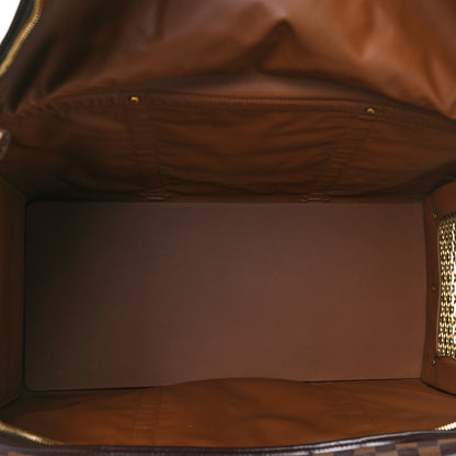 Louis Vuitton Damier Ebene Sac Chien 40 Pet Carrier 4 of 13