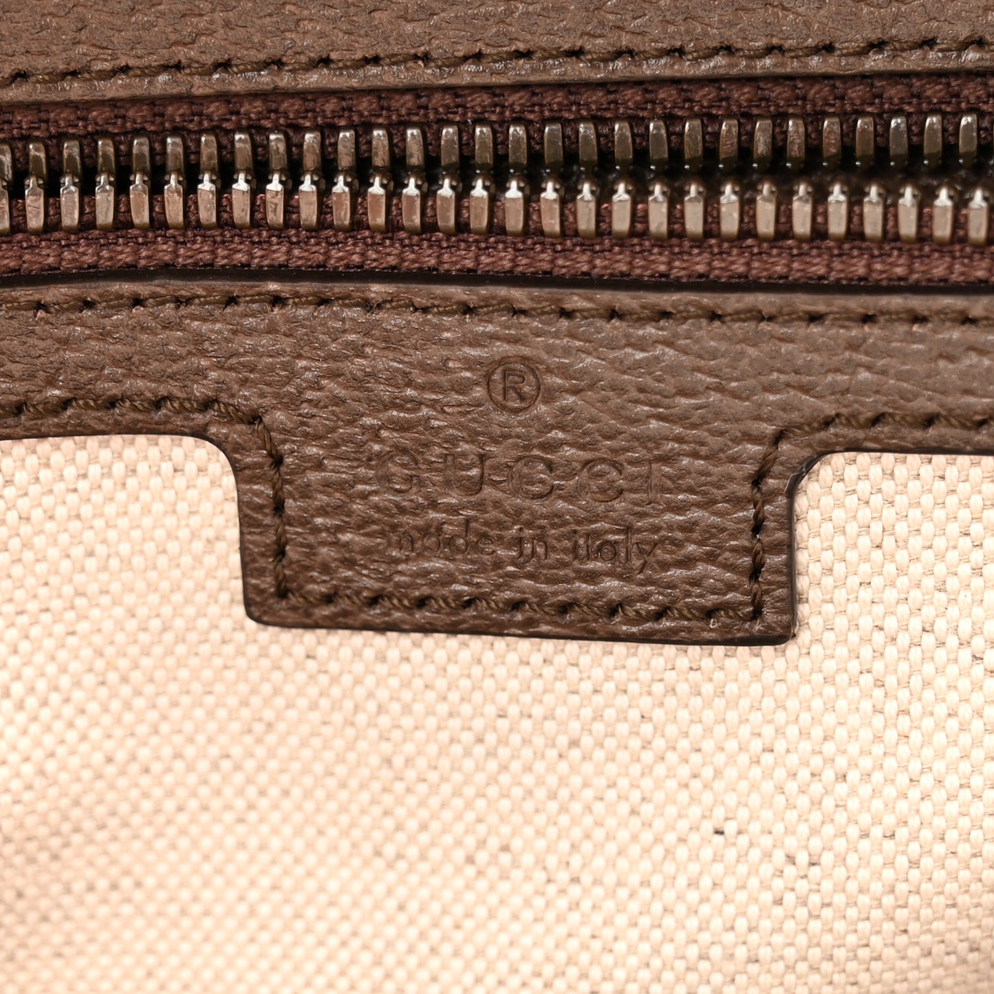 GG Supreme Monogram Textured Dollar Calfskin Web Small Ophidia Day Backpack Beige Ebony Fluorescent Fuchsia