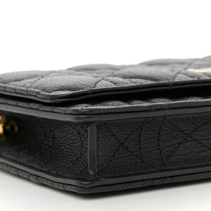 Christian Dior Supple Calfskin Caro Pouch with Chain Black 9 of 11