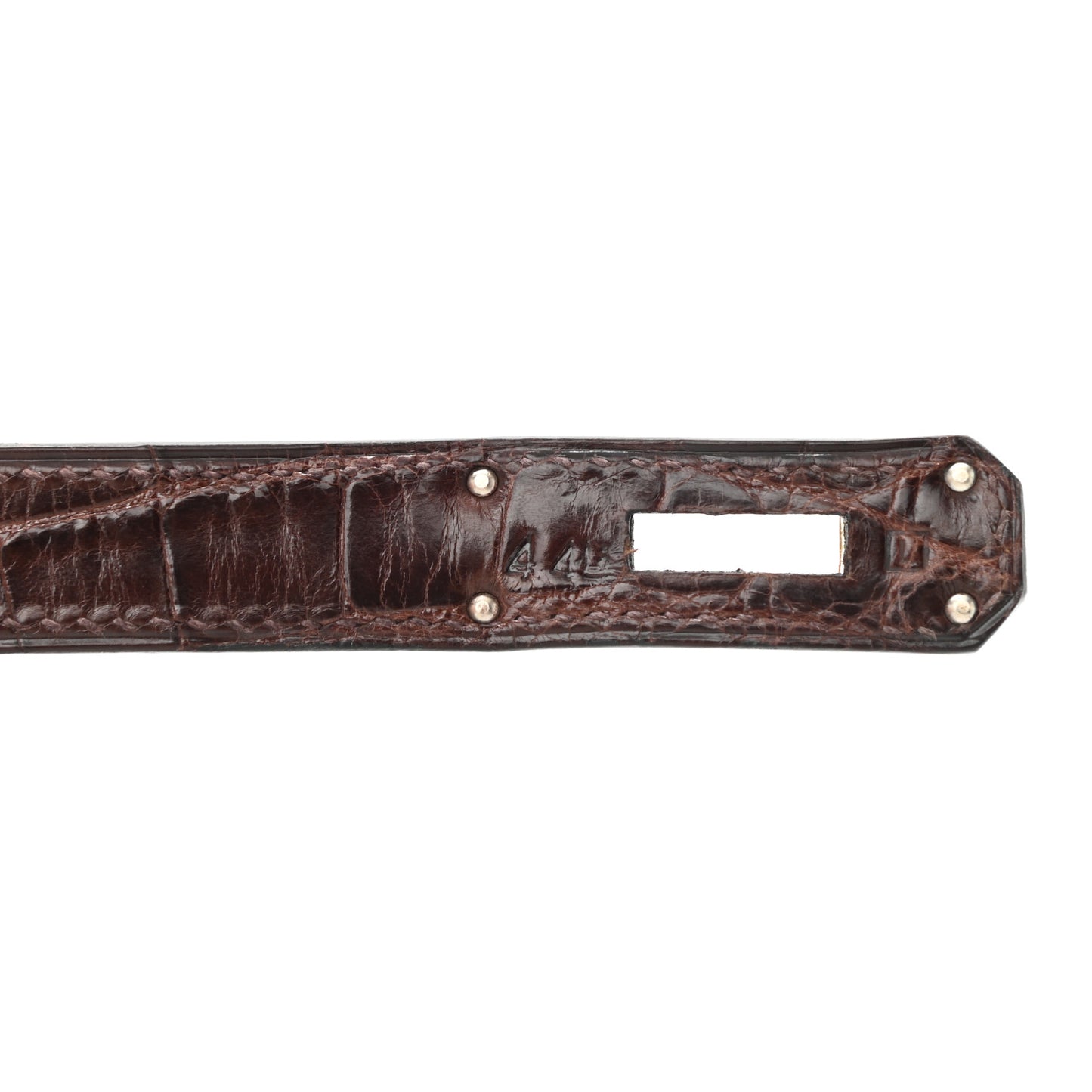 Shiny Niloticus Crocodile Birkin 30 Havane