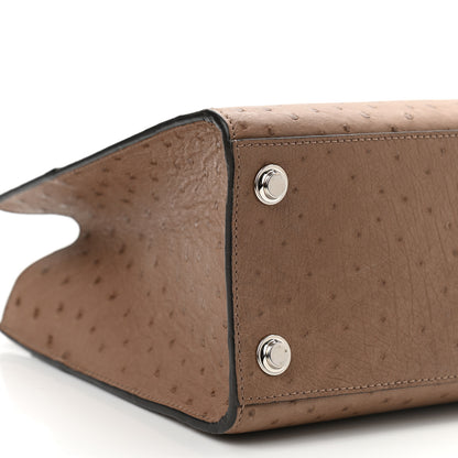 Louis Vuitton Ostrich City Steamer PM Gris 7 of 8