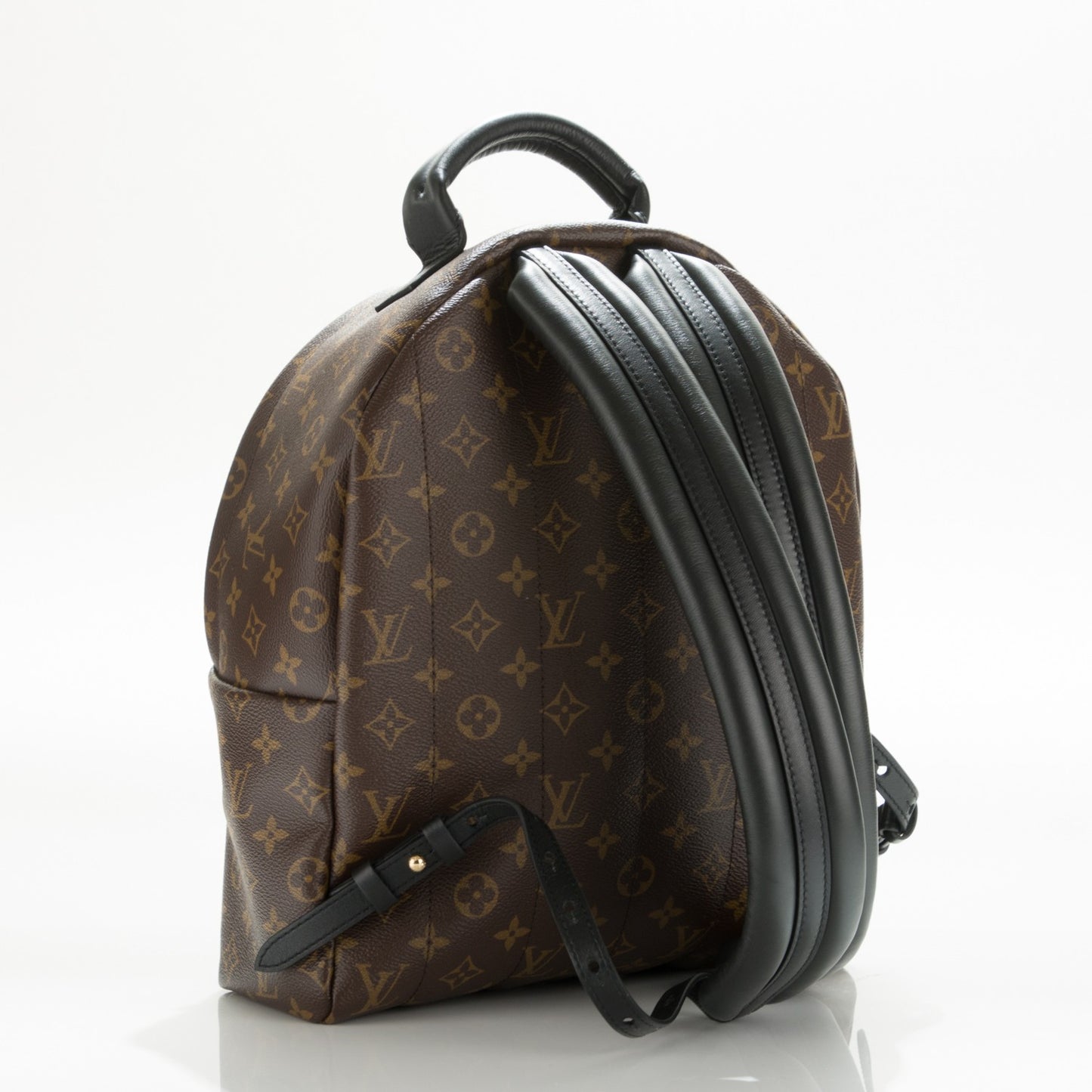 Monogram Palm Springs Backpack MM