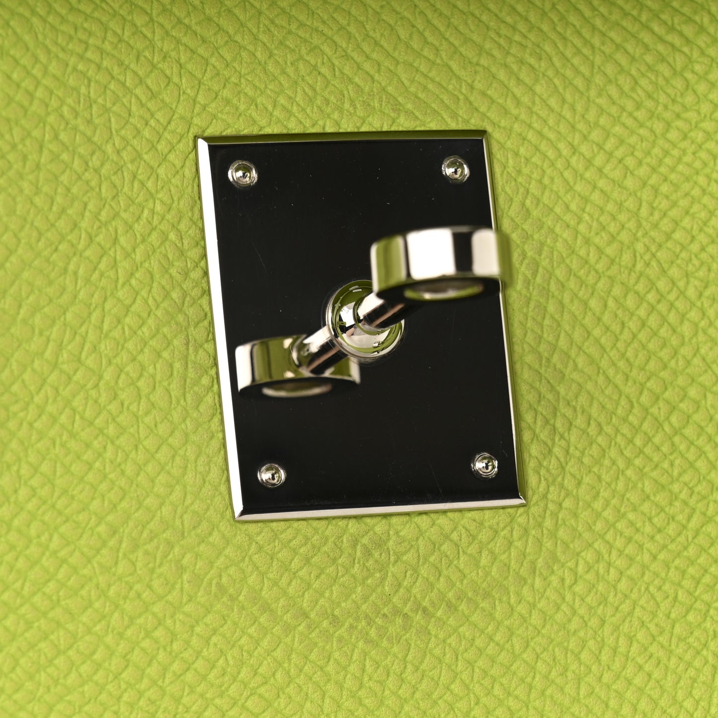 Epsom Candy Birkin 35 Kiwi Lichen