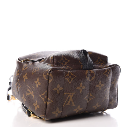 Louis Vuitton Monogram Palm Springs Backpack Mini 4 of 10