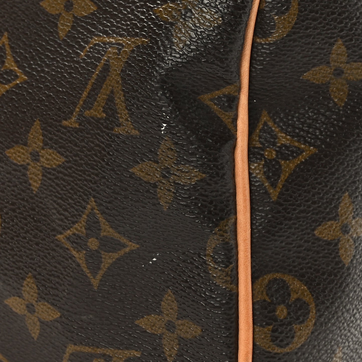 Monogram Speedy 30