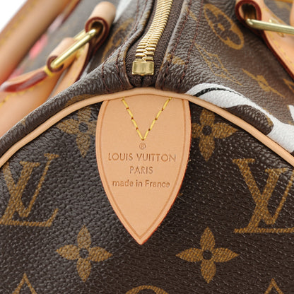 Louis Vuitton Monogram Bay Speedy 30 Rose Ballerine Poppy 6 of 8