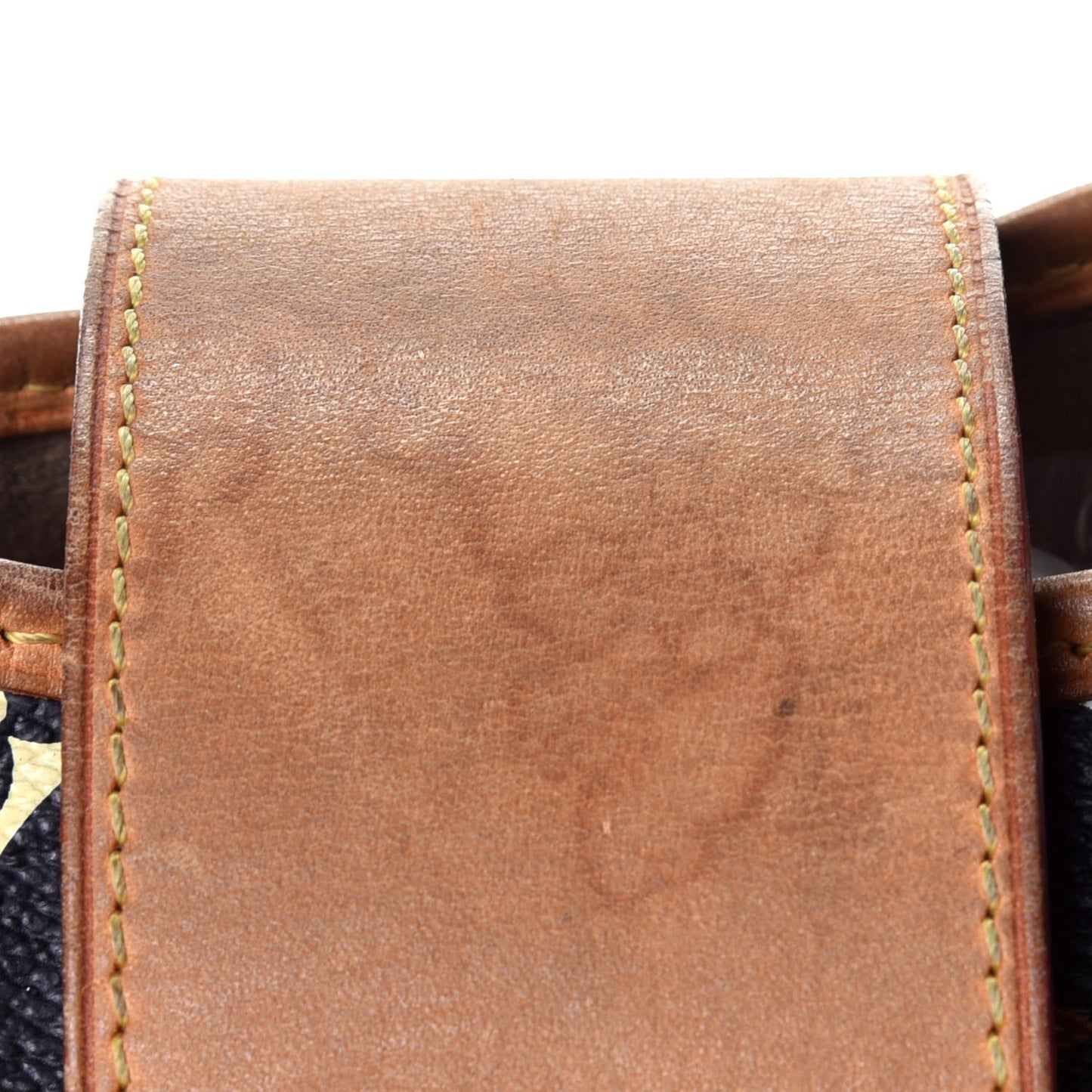 Monogram Multicolor Annie GM Black