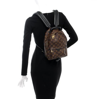 Louis Vuitton Monogram Palm Springs Backpack PM 2 of 7