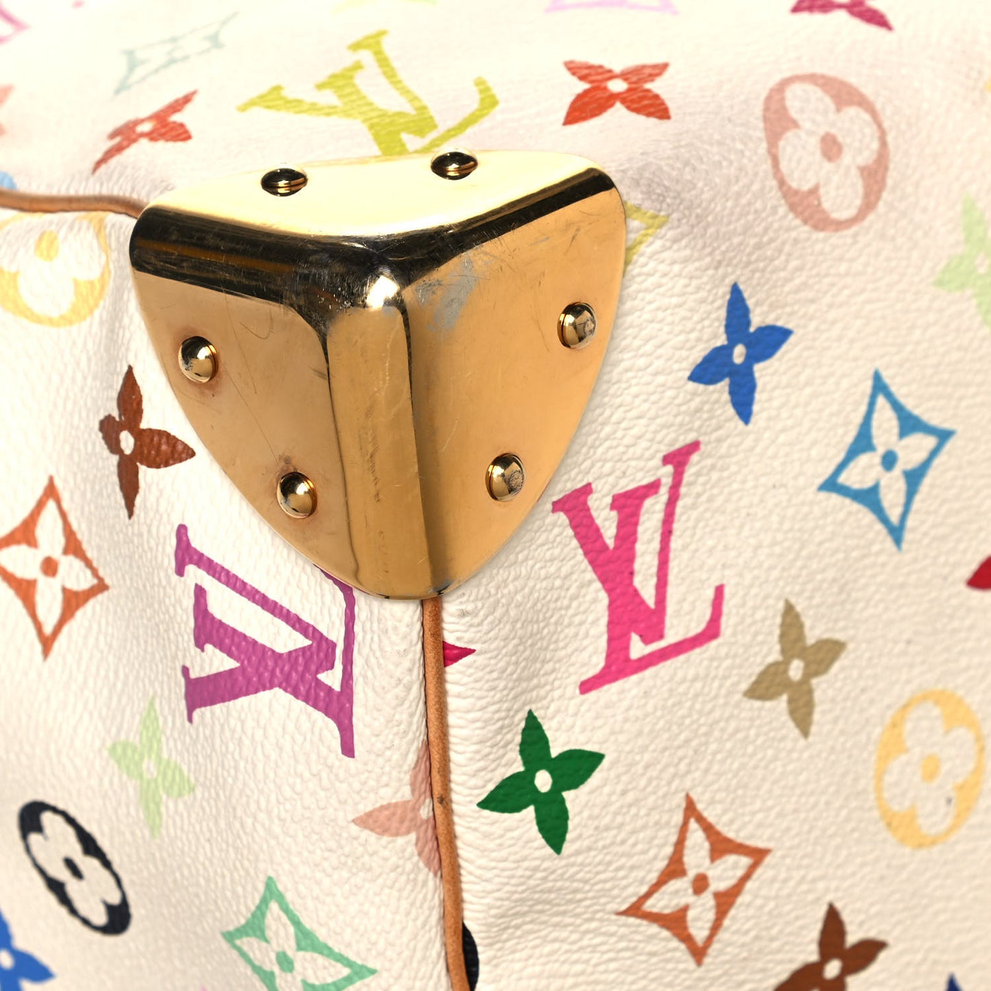 Monogram Multicolor Speedy 30 White