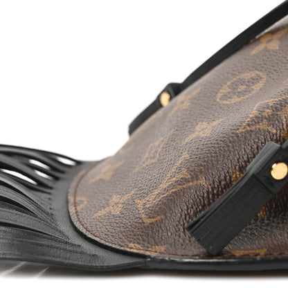 Louis Vuitton Monogram Fringed Mini Noe 16 of 17