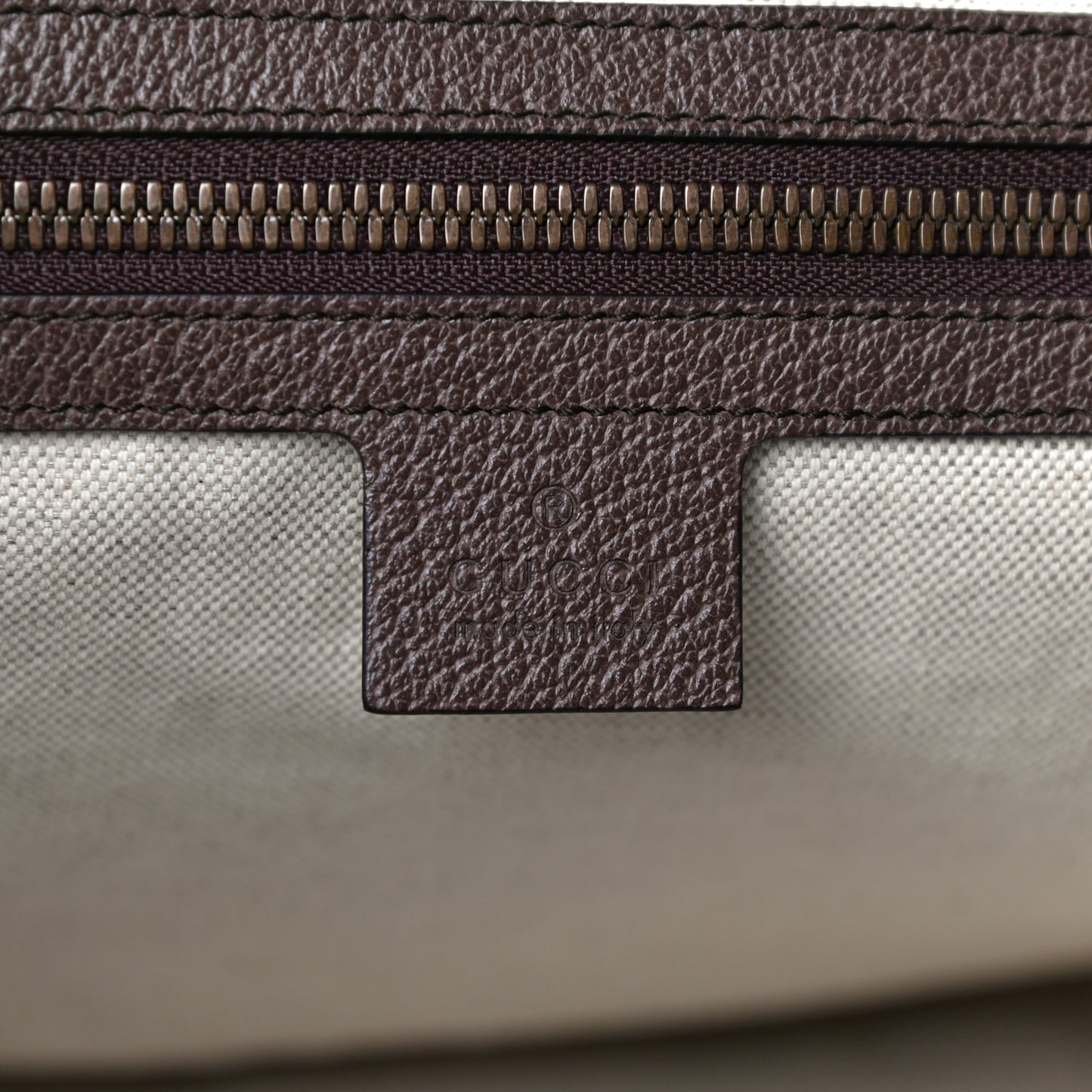 GG Supreme Monogram Web Ophidia Half Moon Hobo Brown