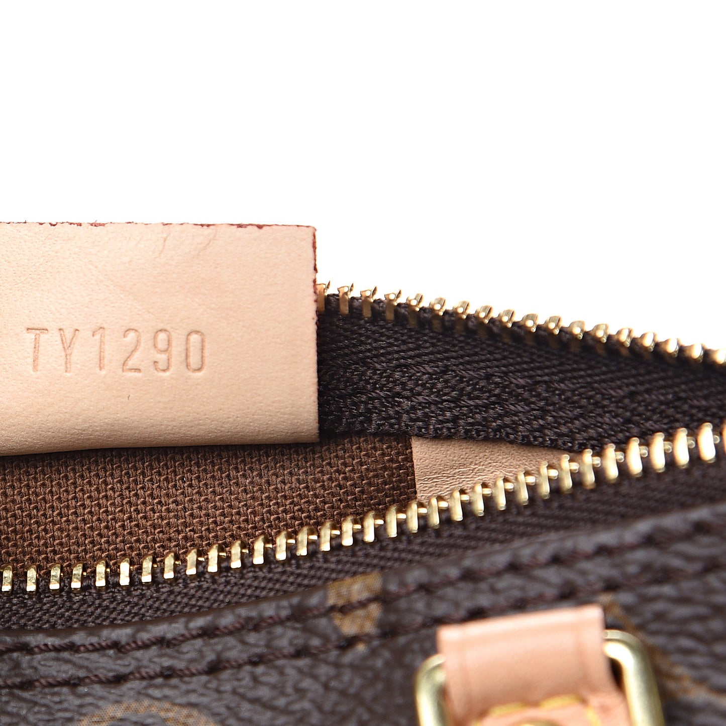 Monogram Nano Speedy