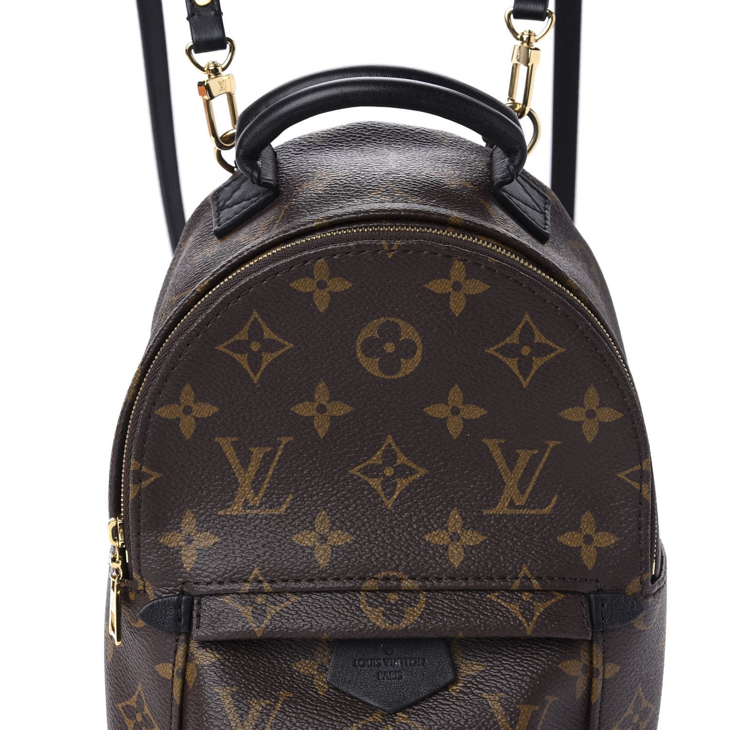 Monogram Palm Springs Backpack Mini