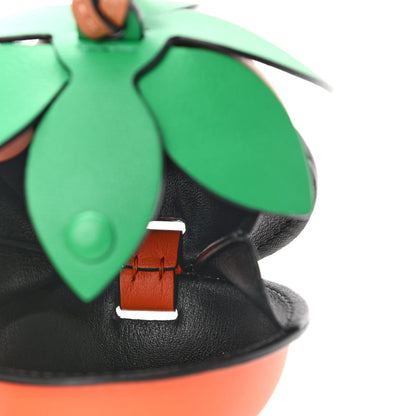 Loewe Calfskin Passionfruit Pouch Bag Charm Orange Green 4 of 5