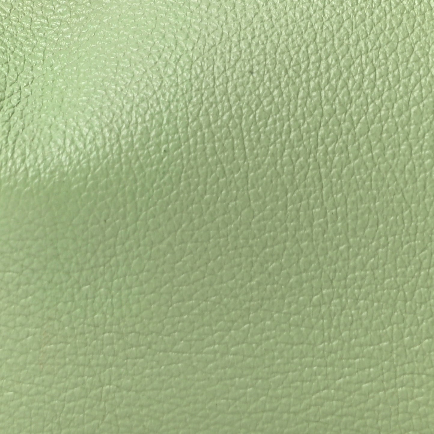 Evercolor Lindy 26 Vert Criquet