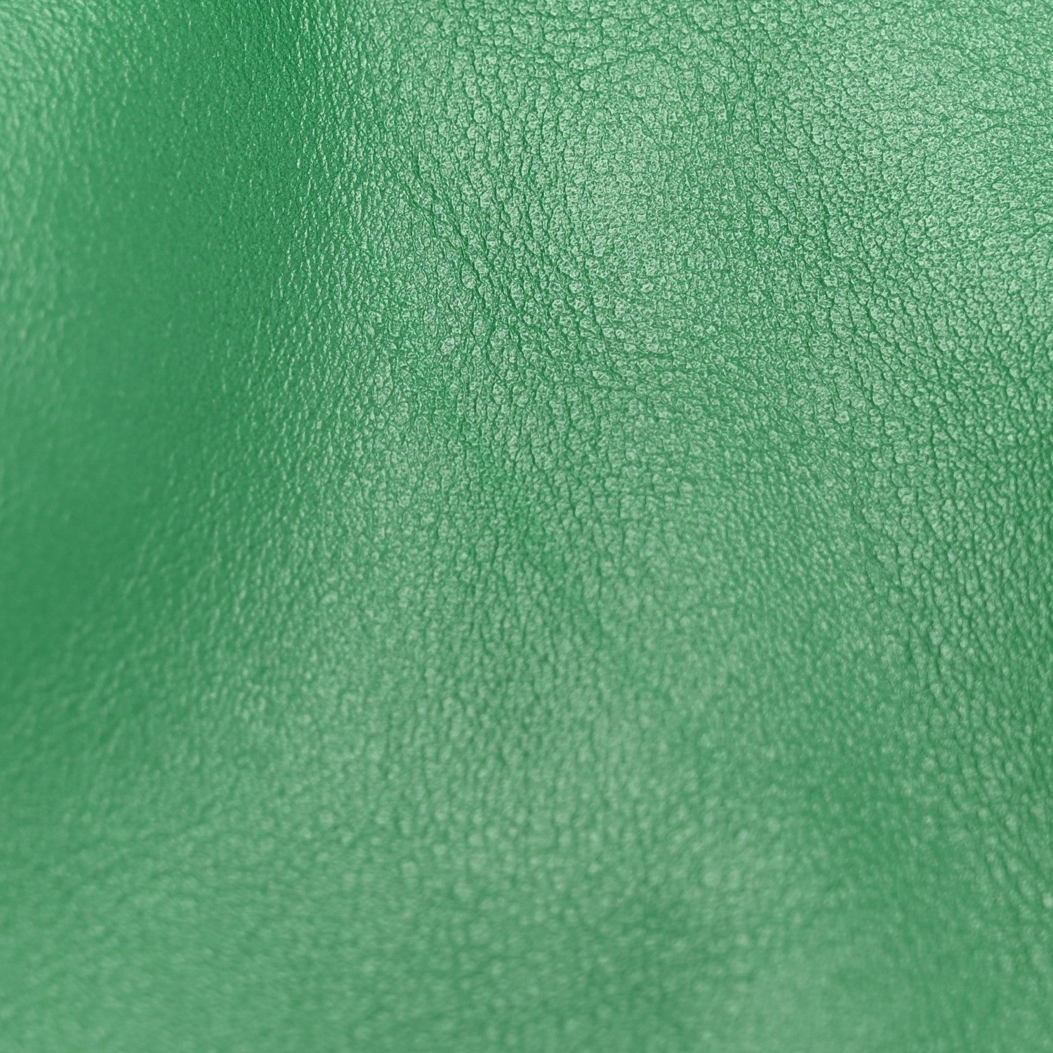 Bottega Veneta Smooth Butter Calf The Pouch Oversized Clutch Racing Green 9 of 9