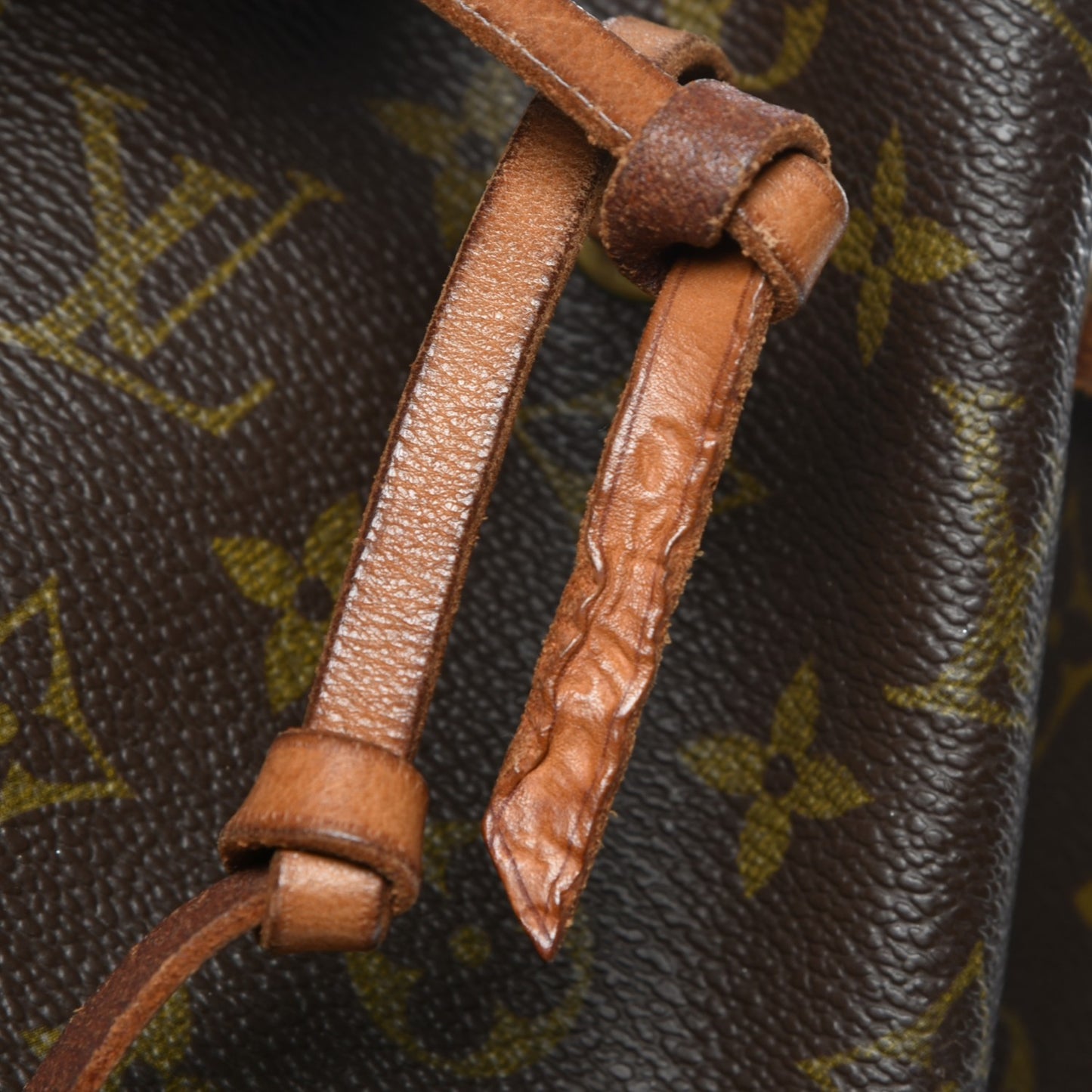 Monogram Montsouris GM Backpack