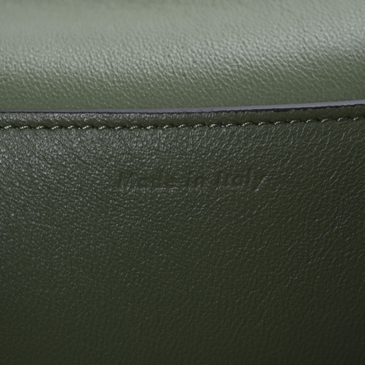 Shiny Smooth Calfskin Medium Frame Shoulder Bag Olive Pastel Green