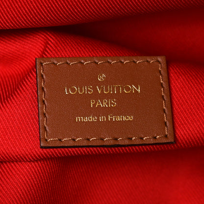 Louis Vuitton Monogram Teddy Bumbag 6 of 9